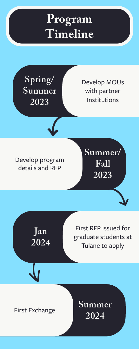 Timeline for project development - email smeaux@tulane.edu for a text version